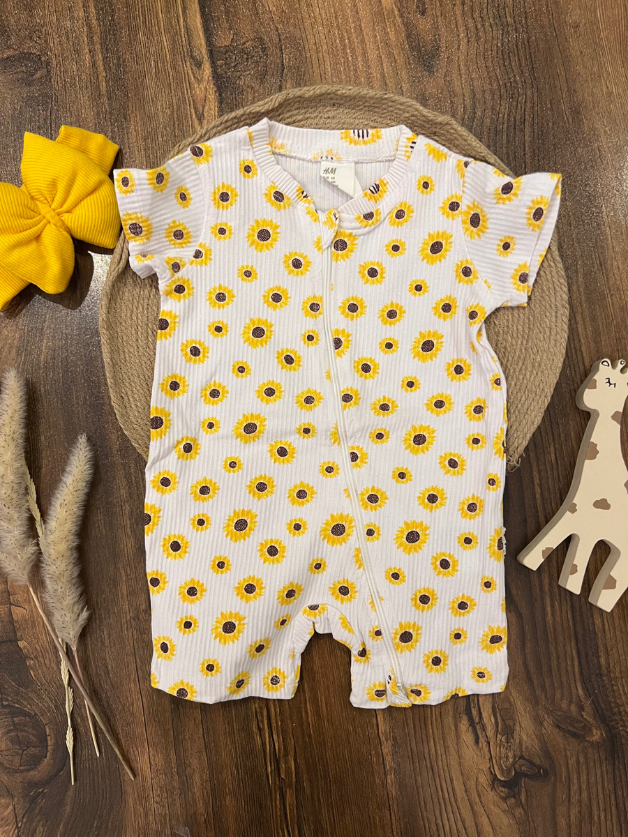 رامپر افتاب گردون